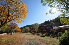 大門碑林公園の紅葉