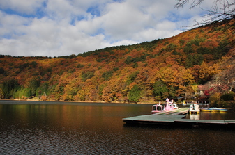 四尾連湖の紅葉