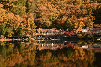 四尾連湖の紅葉