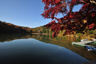 四尾連湖の紅葉