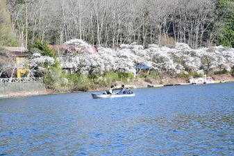令和８年４月11日撮影