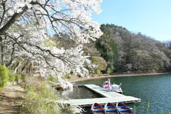 令和８年４月11日撮影