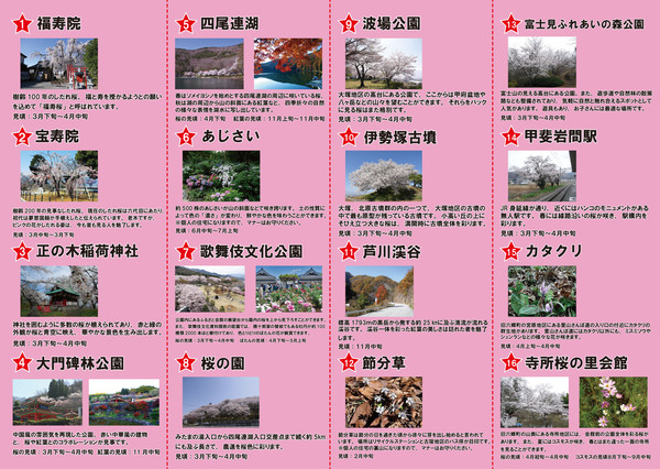 花マップ（裏）