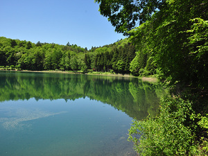 夏