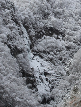 2010千波の滝