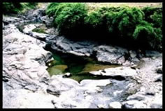 湯桶の釜