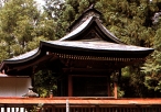 熊野神社の狛犬