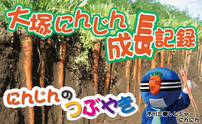 タイトル画像