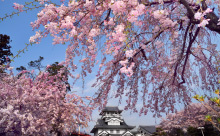 歌舞伎文化公園