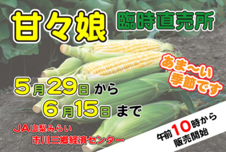 甘々娘臨時直売所開催
