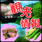 観光情報